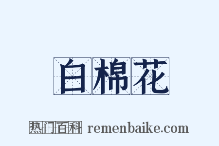 白棉花是什么意思的图片